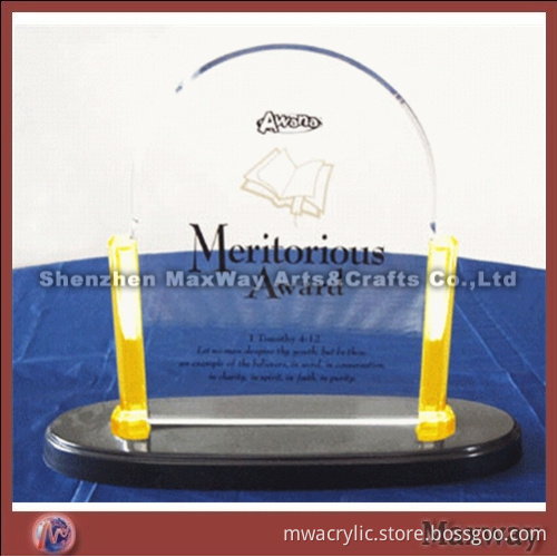 Custom High Grade Acrylic Award